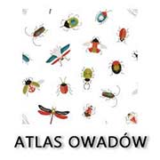 atlas owadów