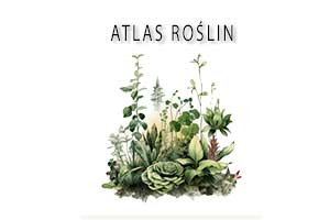 Atlas roślin