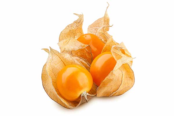 Miechunka peruwiańska (Physalis peruviana)