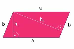 quiz - Pole równoległoboku — quiz