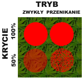 Przenikanie